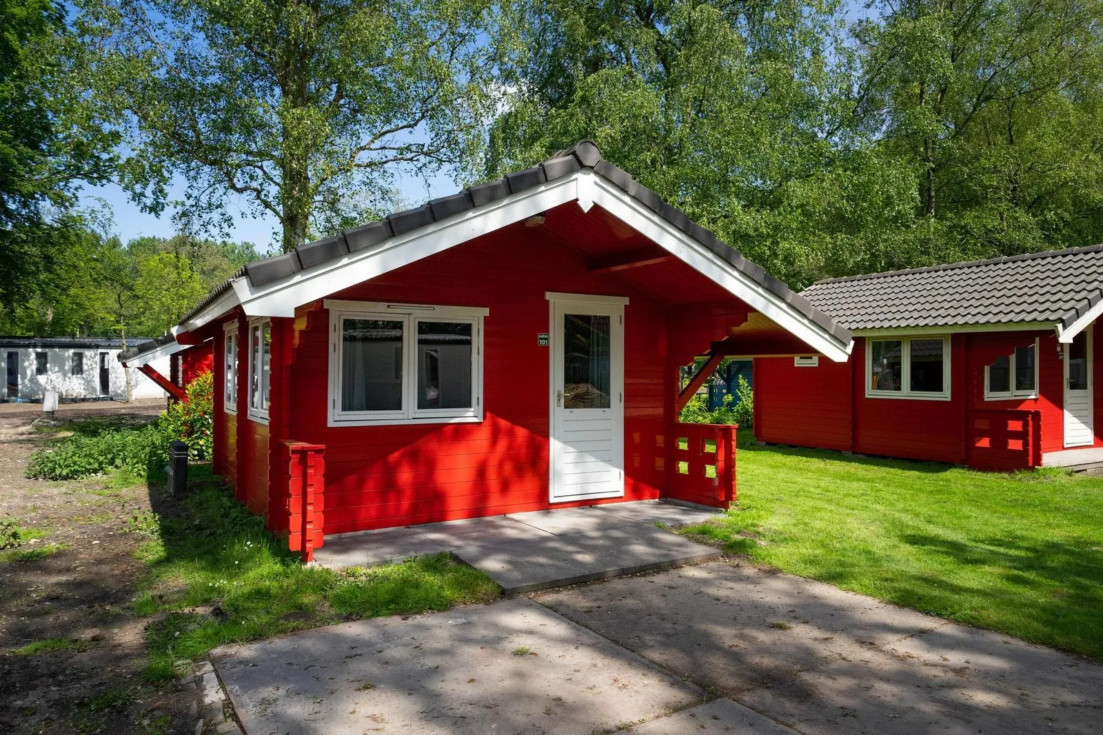Cabin 5