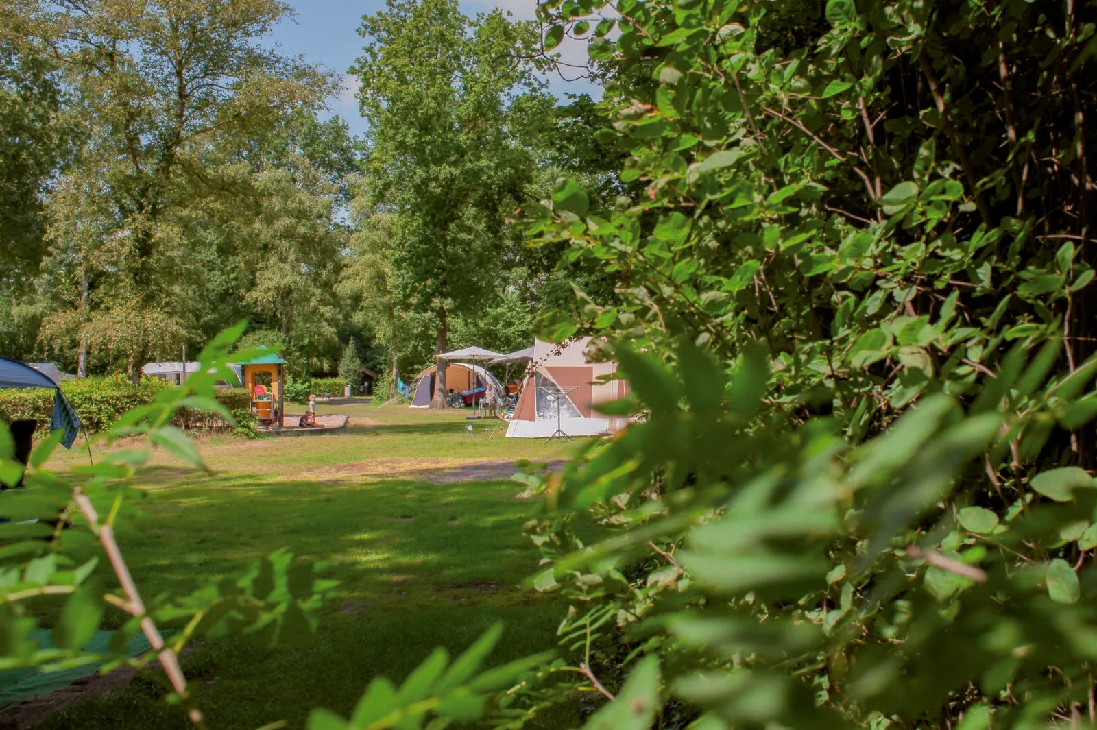 Kampeerplaats hondenvrij