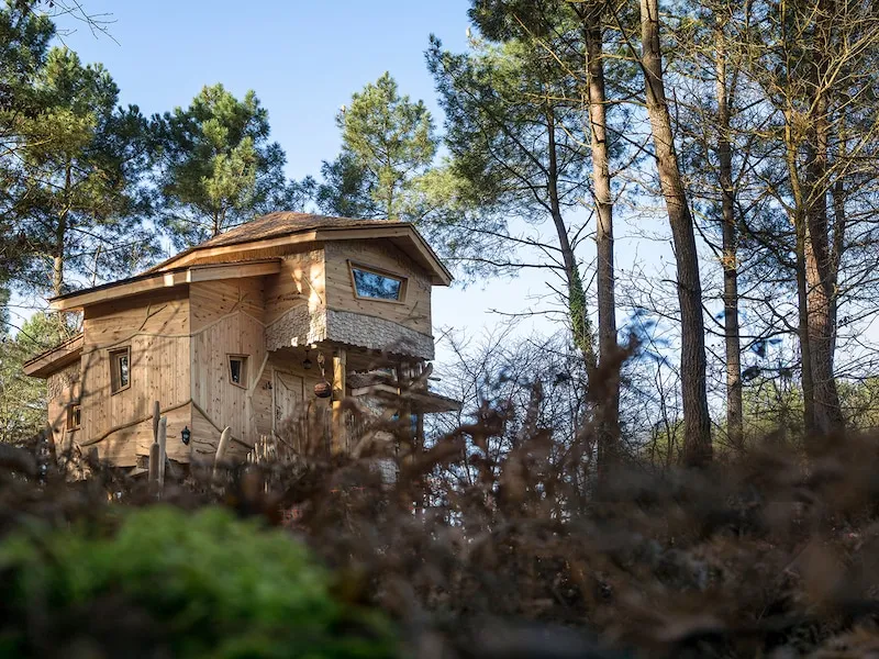 Boomhuis · 6 personen