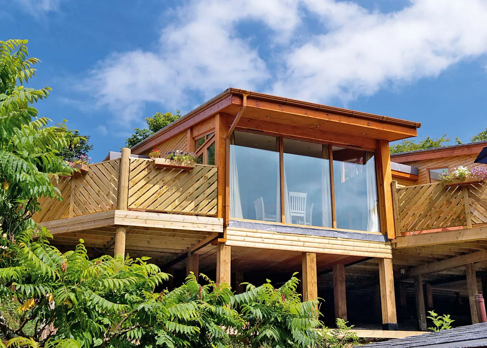 2-persoons bungalow - Piran Spa Lodge - Pet