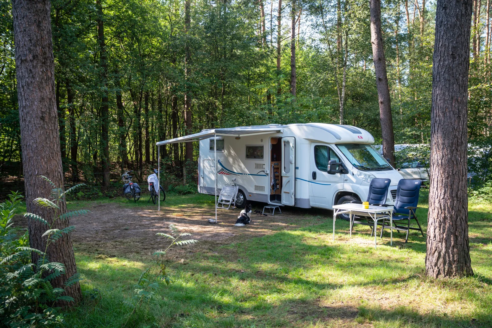 Basis campingplaats