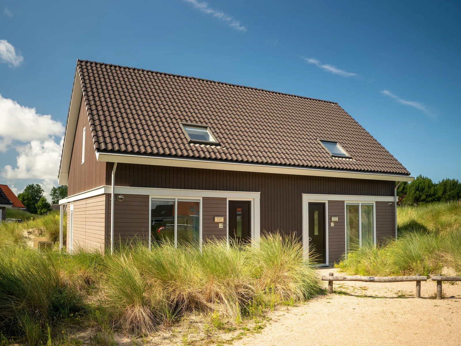 4-persoons villa - Middenduin
