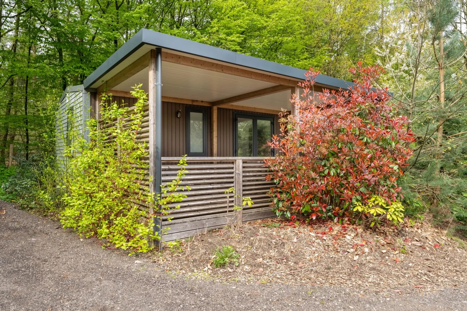 4-6-persoons Cottage