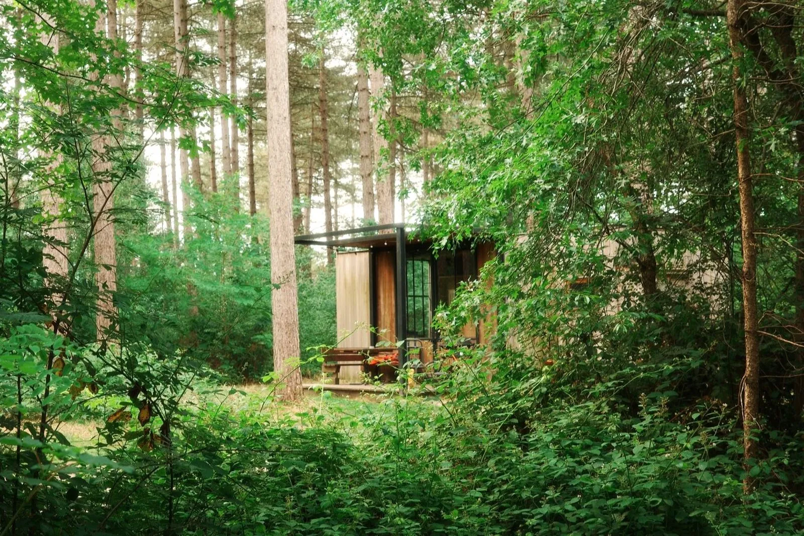Sweet Cabin