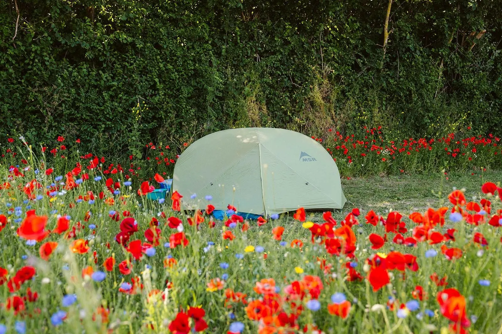 ⛺ Kamperen Comfort Small