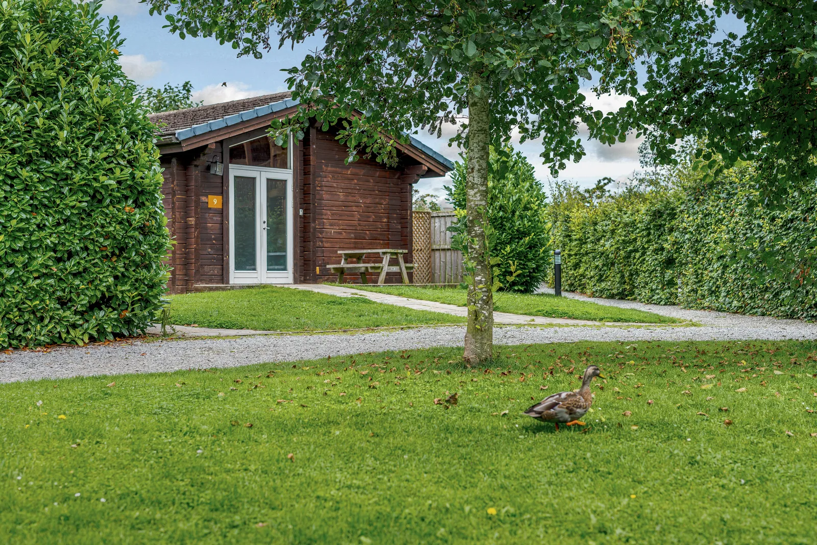 3-persoons chalet - Yew Tree Spa (Pet)