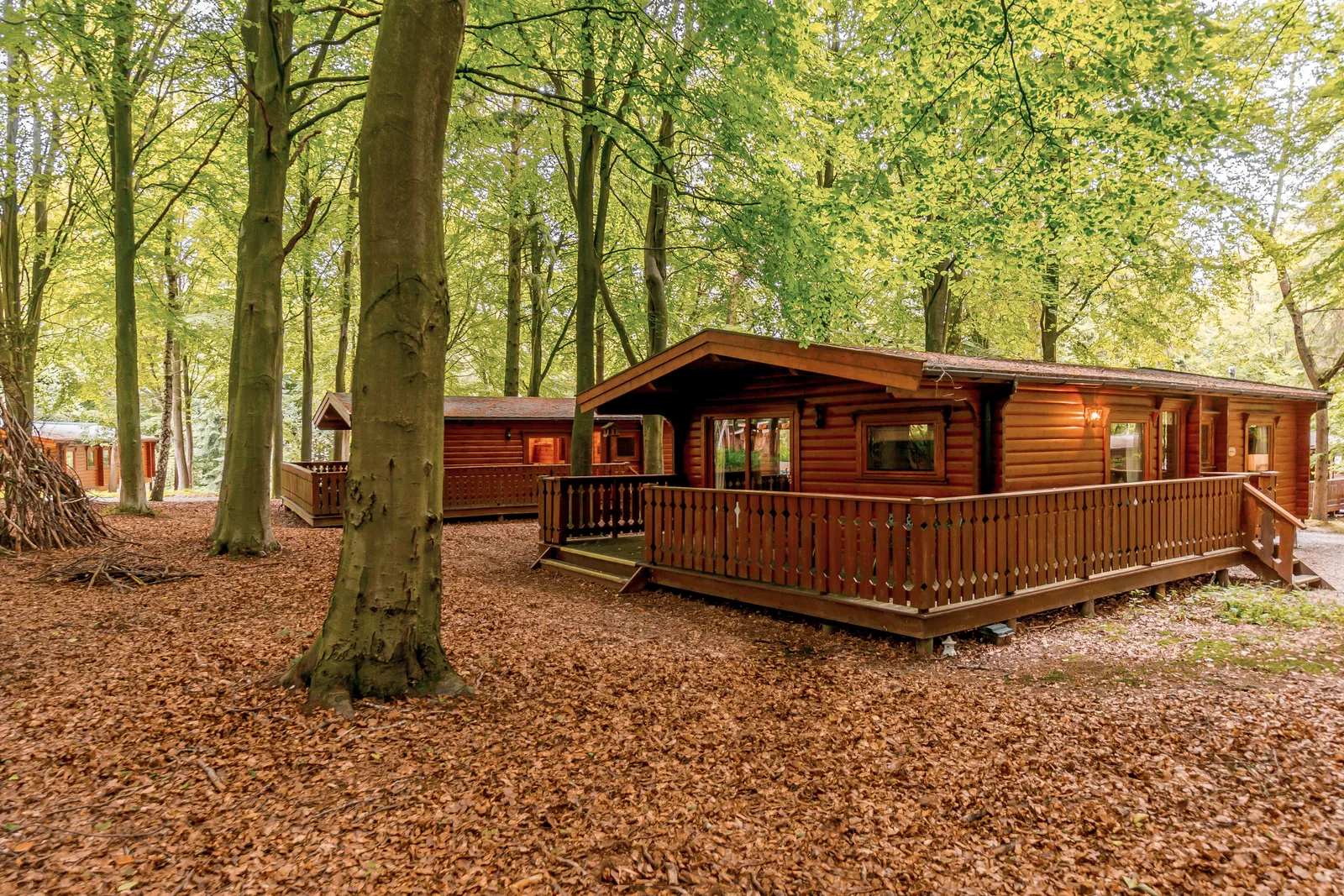 4-persoons chalet - Maple Lodge