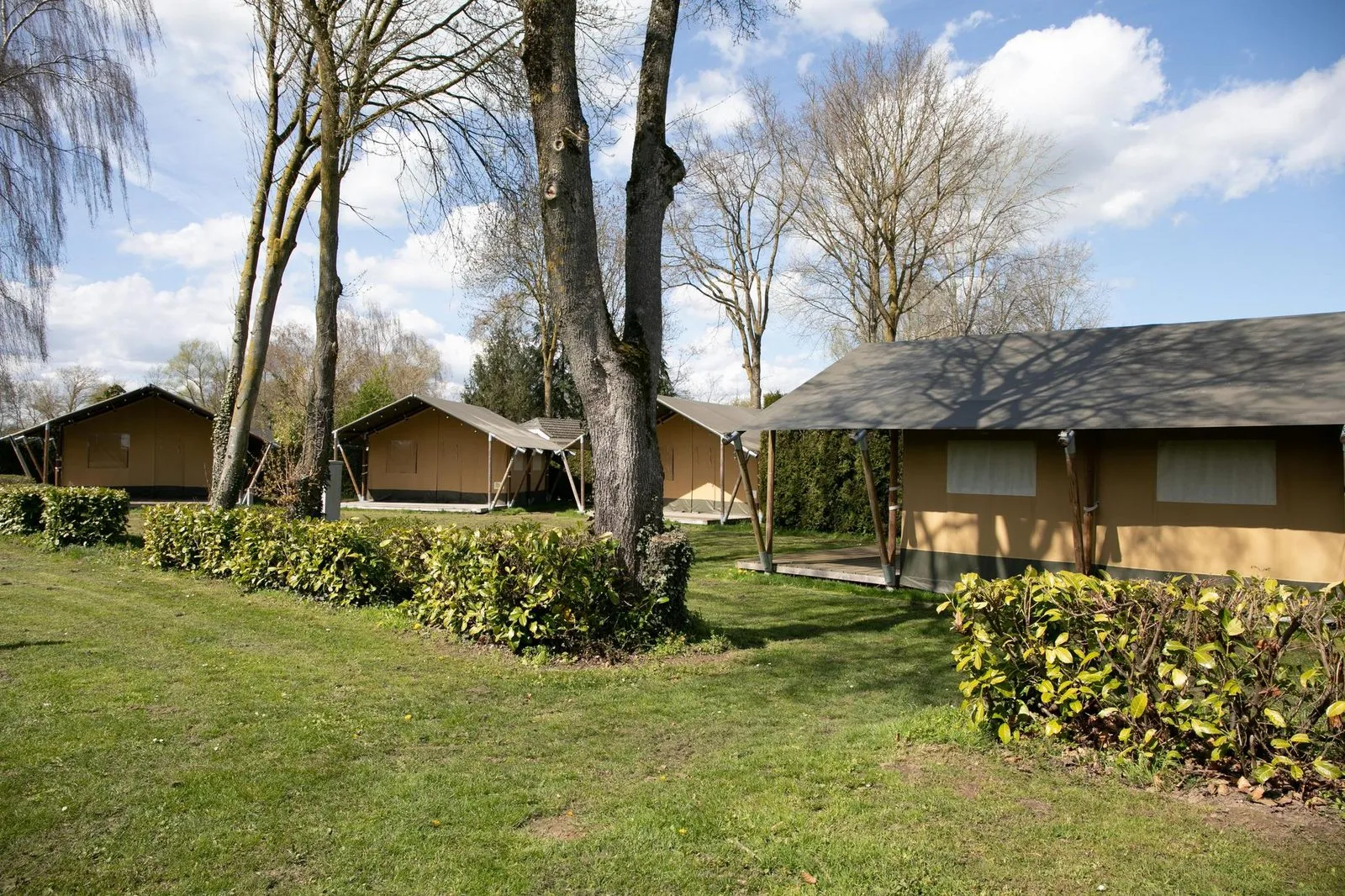 Safaritenten 6 persoons