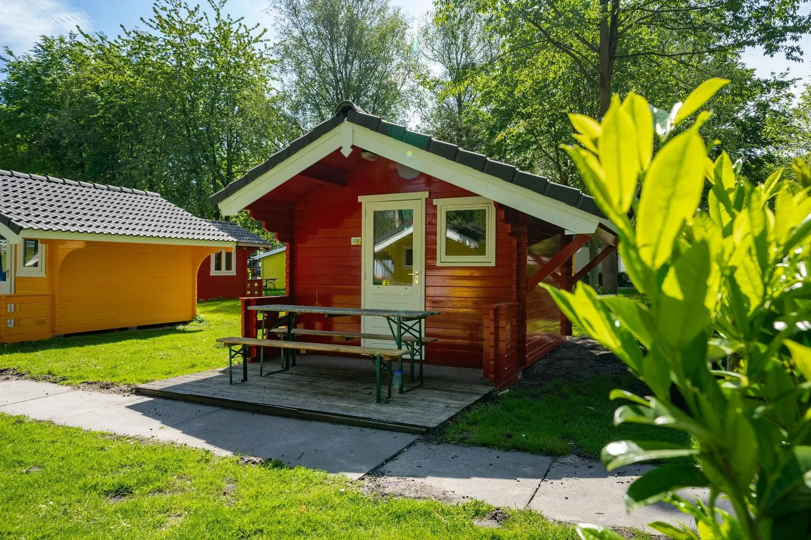 Cabin 4