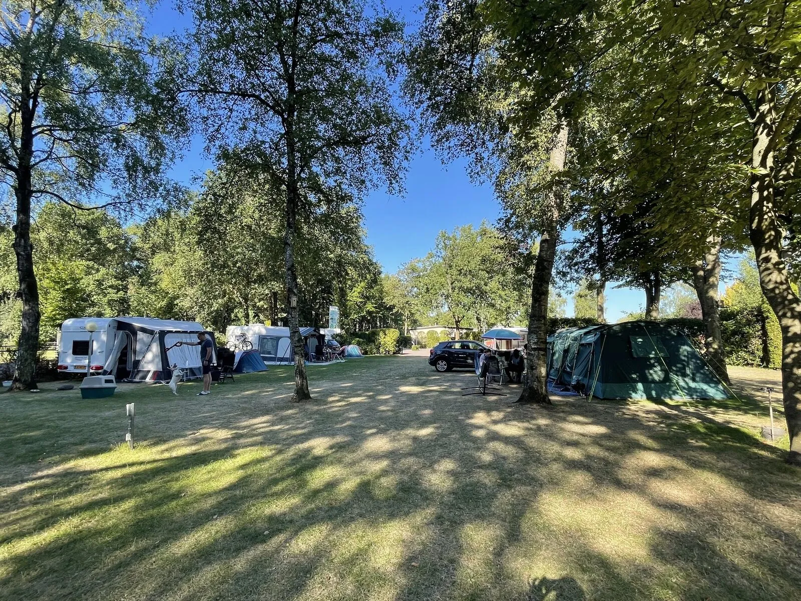 Kampeerplaats Bijenkorf