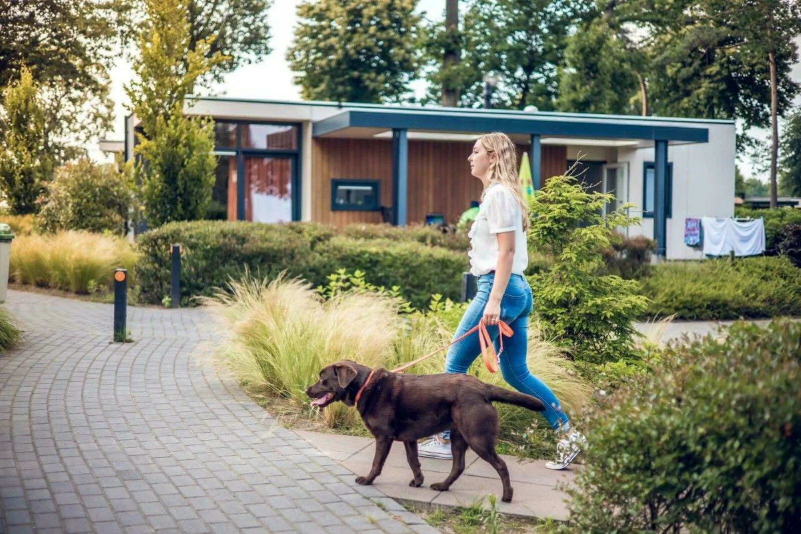Vakantievilla | 2 - 4 pers. | Huisdier toegestaan