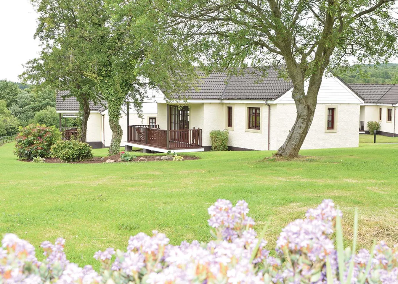 4-persoons lodge - Bargany (Pet)