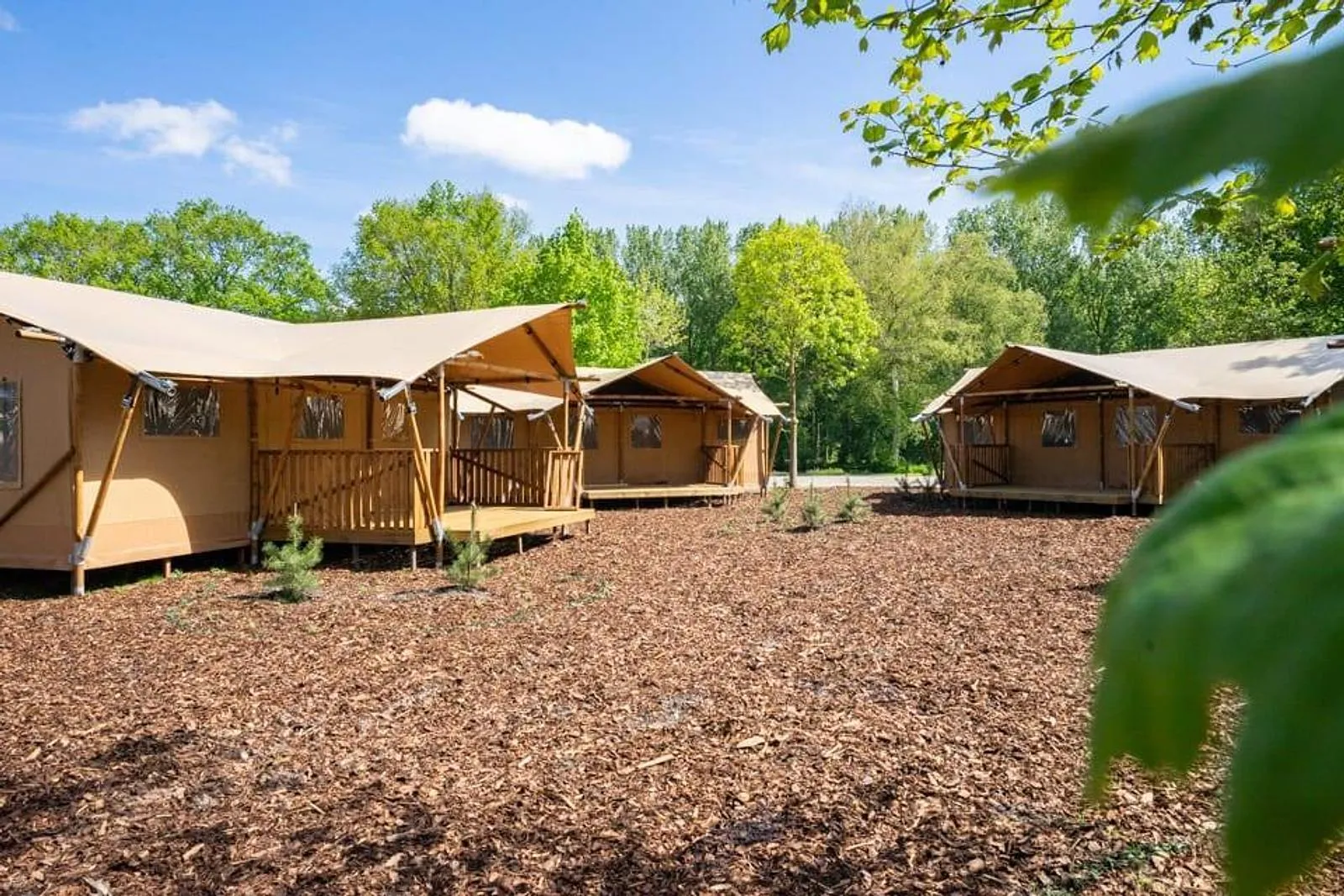Lodgetent Community 16
