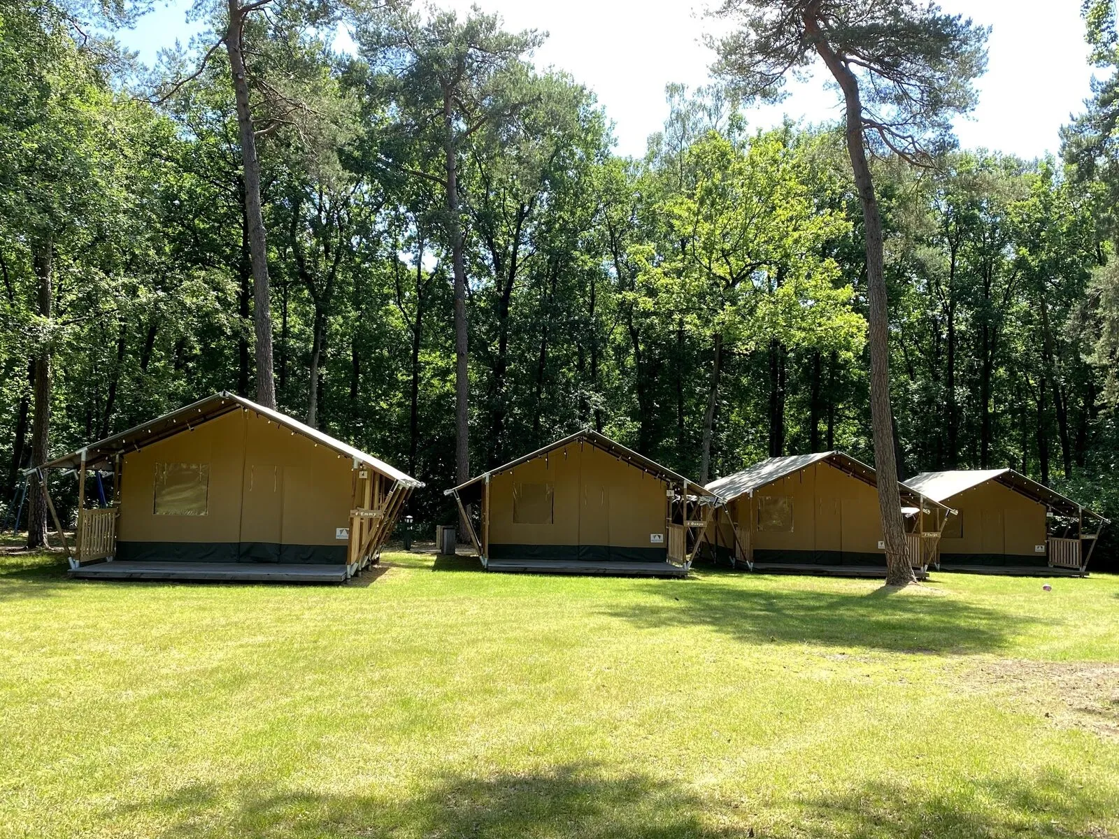 Safaritenten 6 persoons