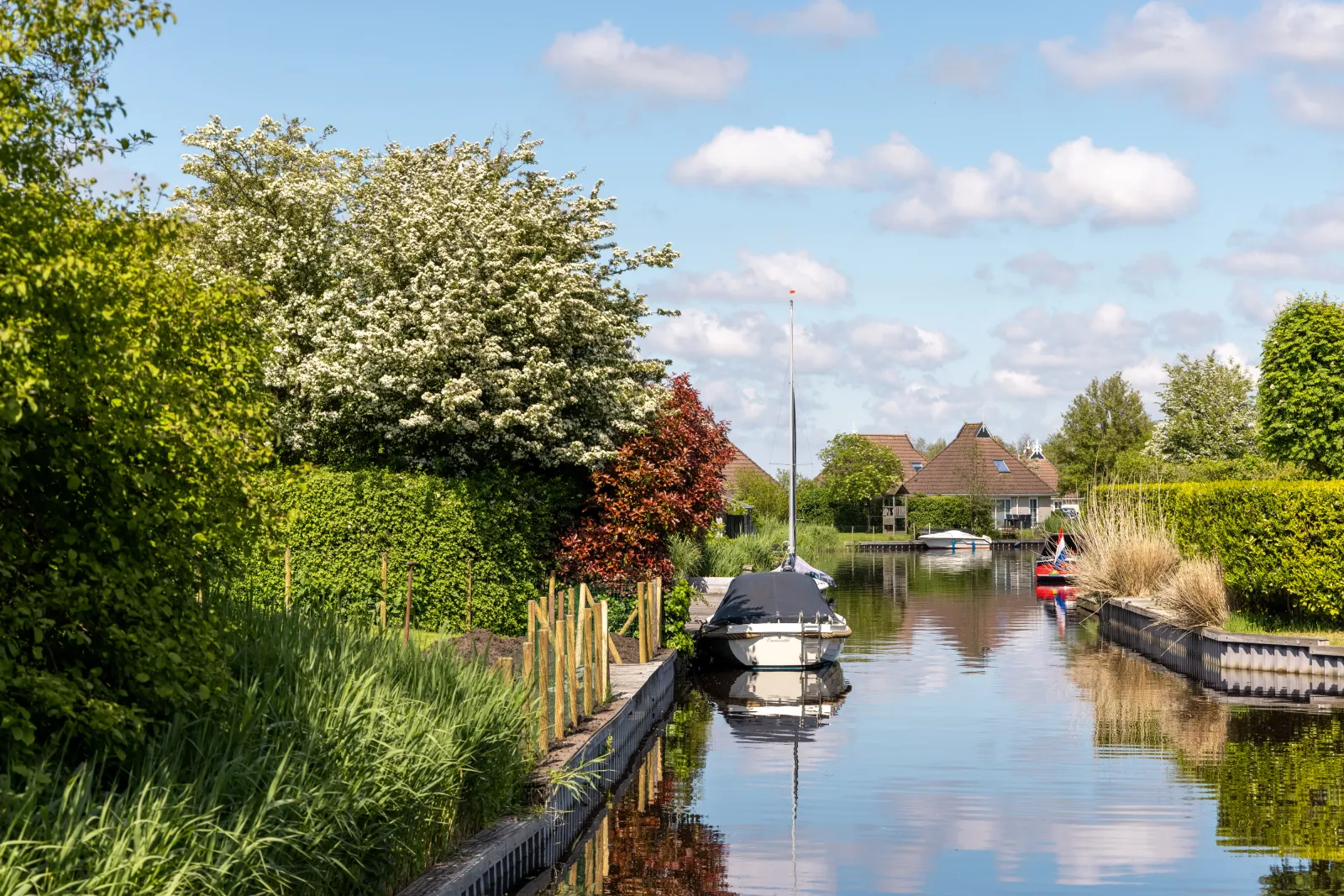 Vakantiepark It Wiid — foto 6
