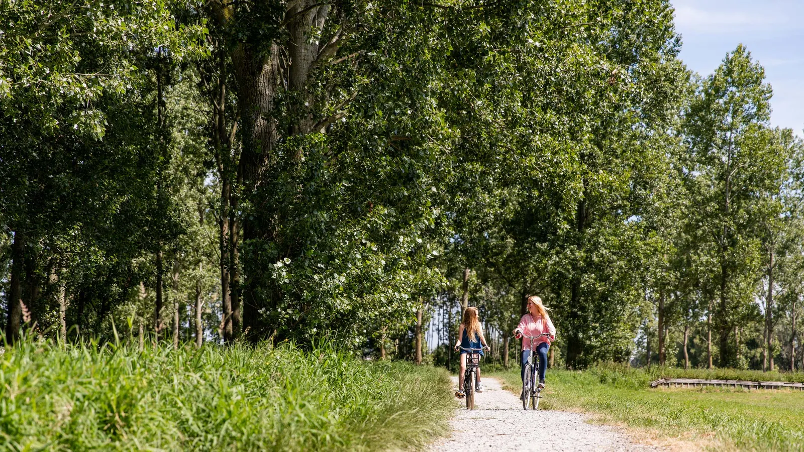 Parc De Ijsselhoeve