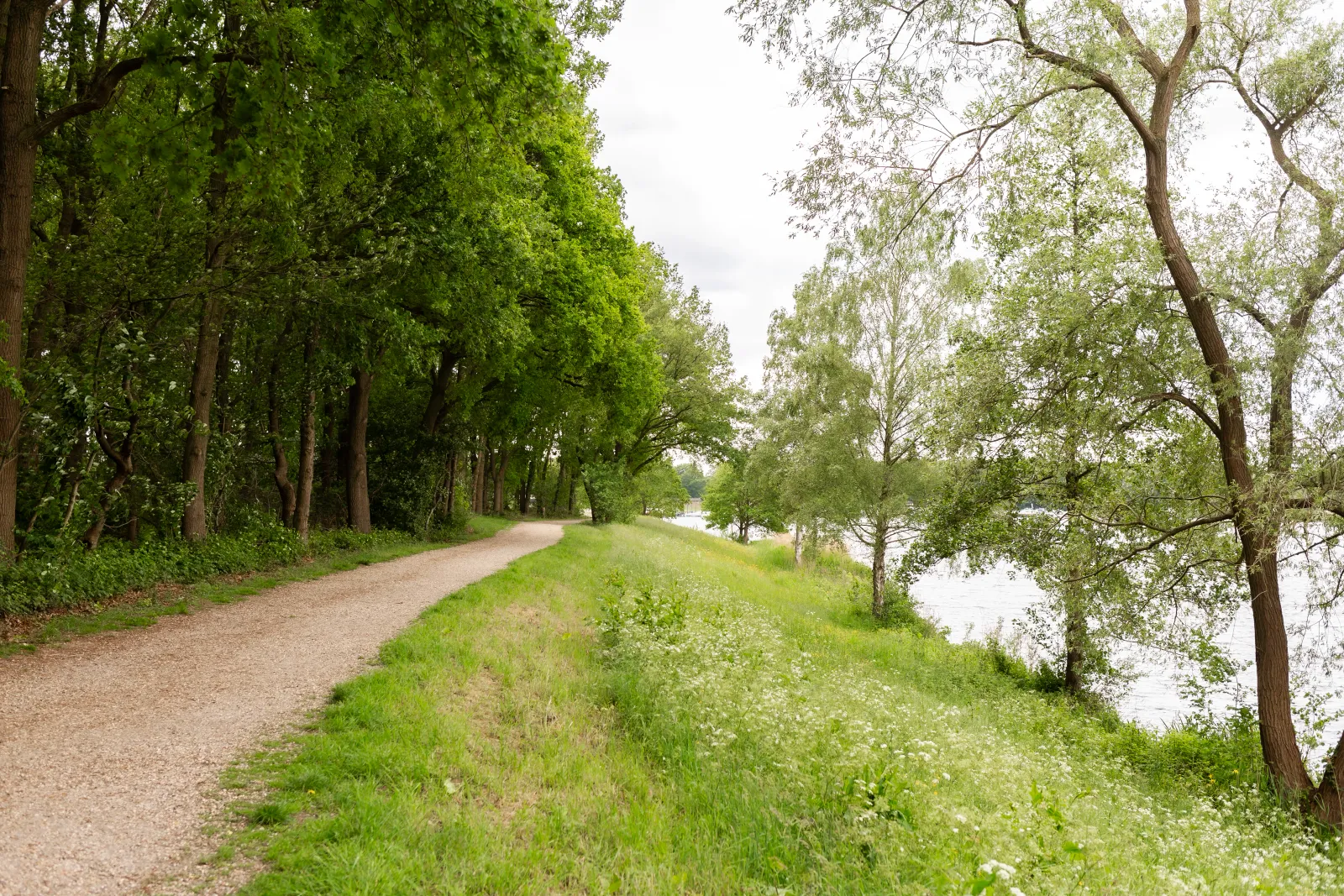 Bungalowpark De Riethorst — foto 11