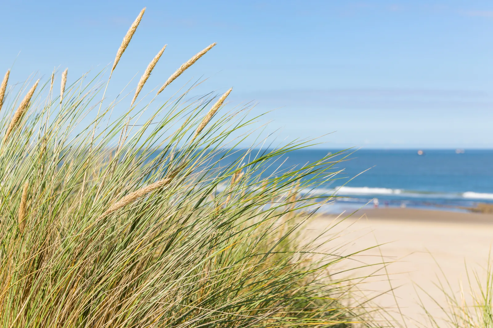Strandpark Zeeland — foto 8