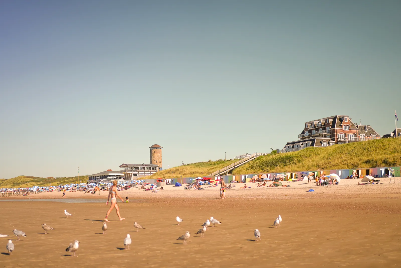 Hof Domburg — foto 14