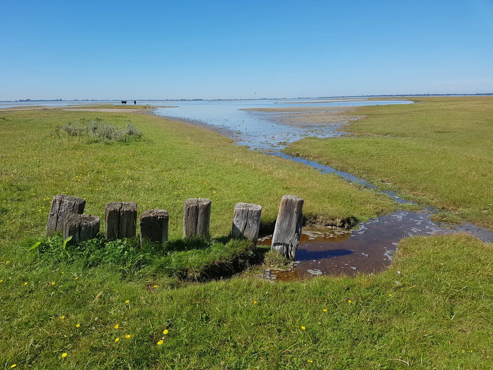 Vakantiepark Zeedijk — foto 11