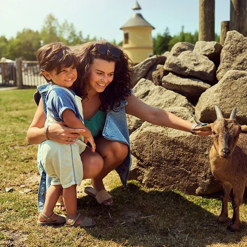 Kinderboerderij