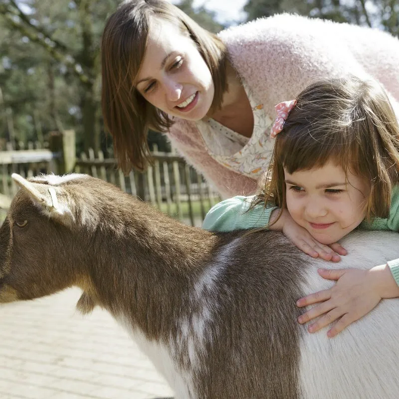 Kinderboerderij