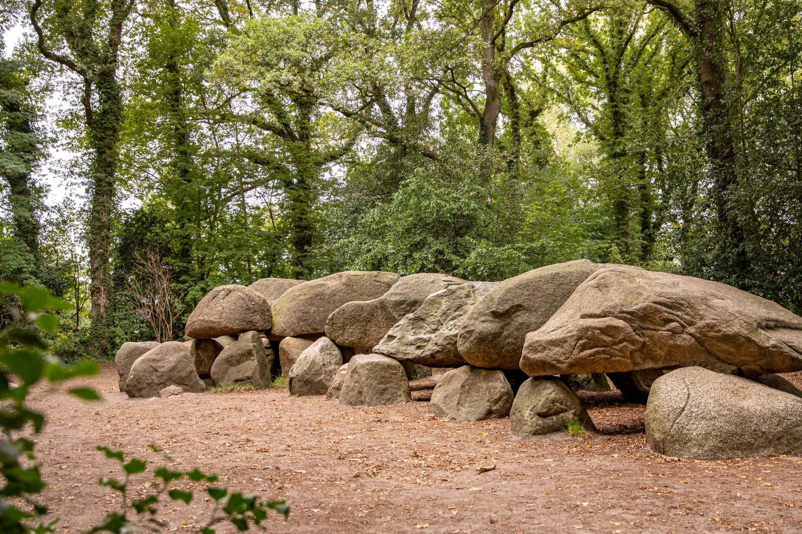 Buitenplaats de Marke van Ruinen — foto 14
