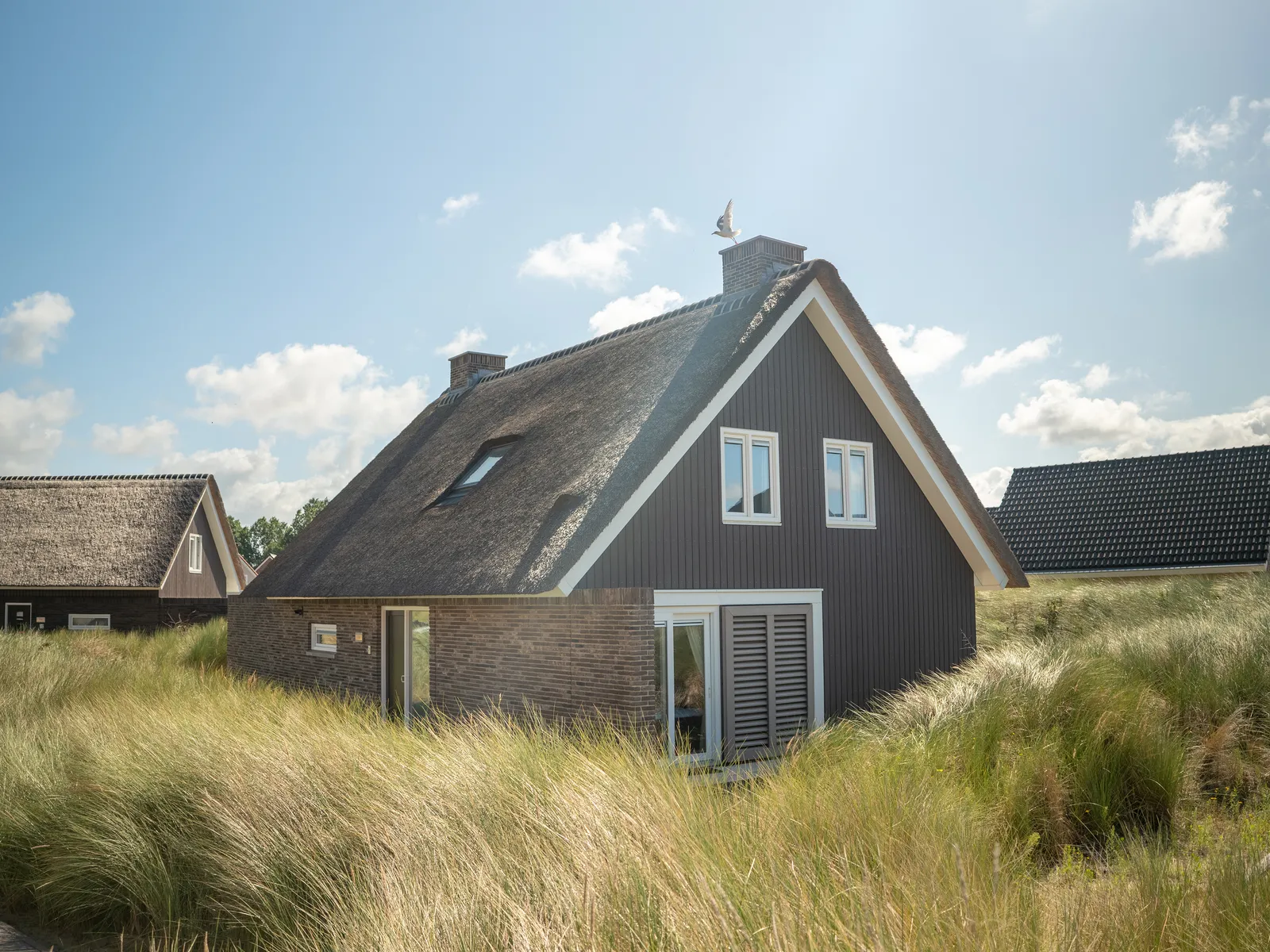 Landal Strand Resort Ouddorp Duin