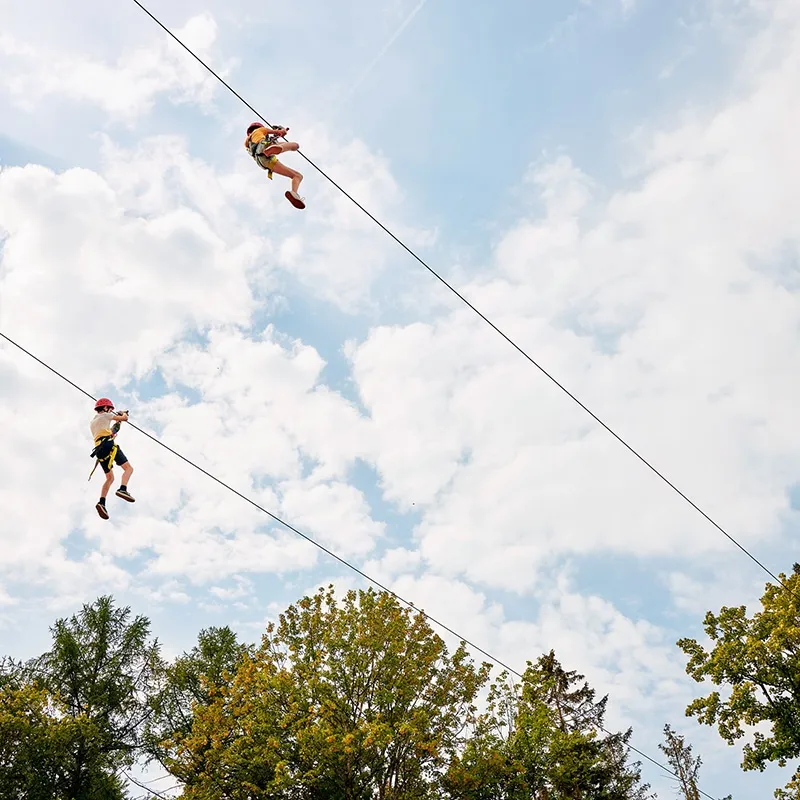 Zip Wire