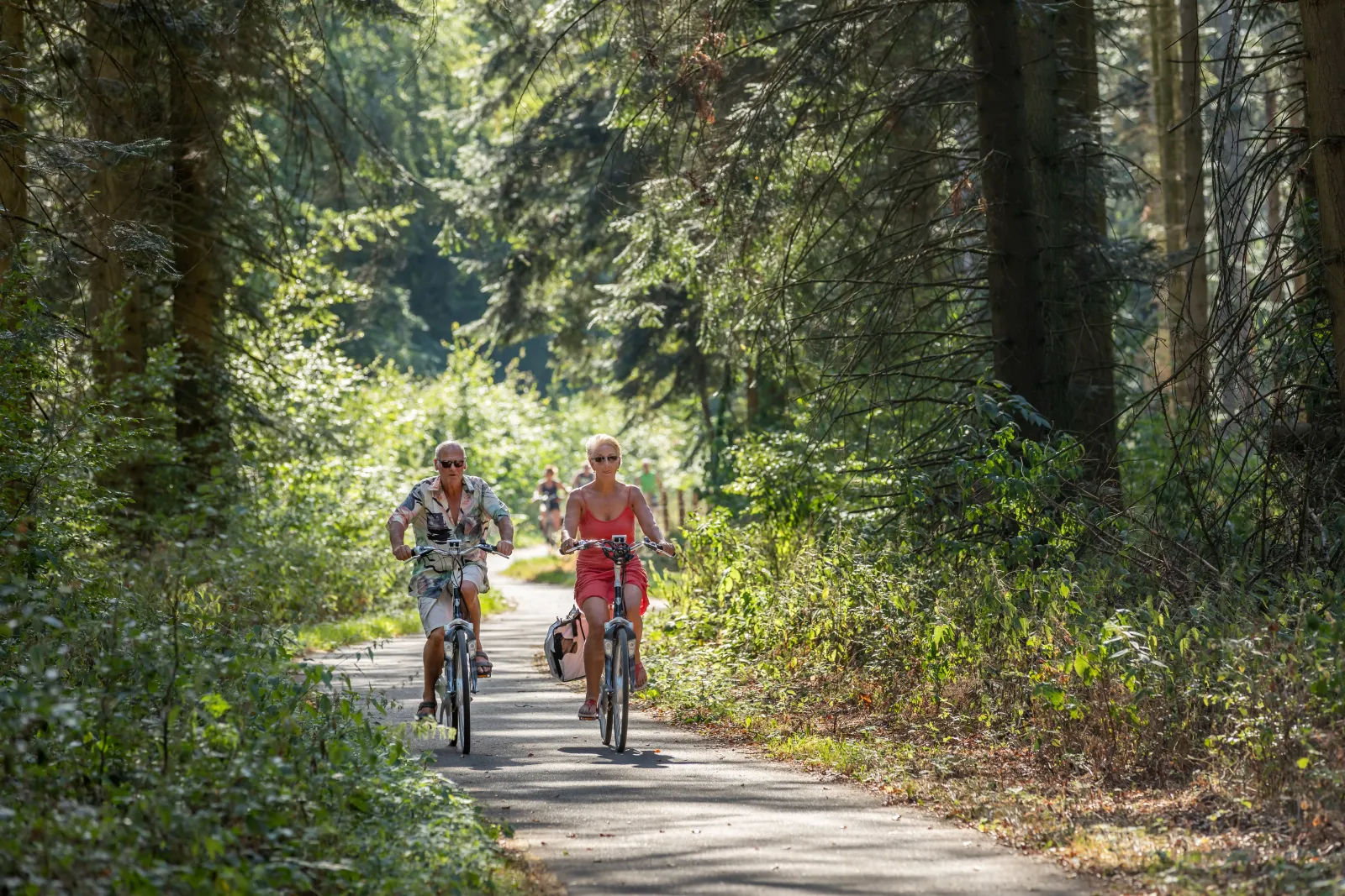 Buitenplaats de Marke van Ruinen — foto 12