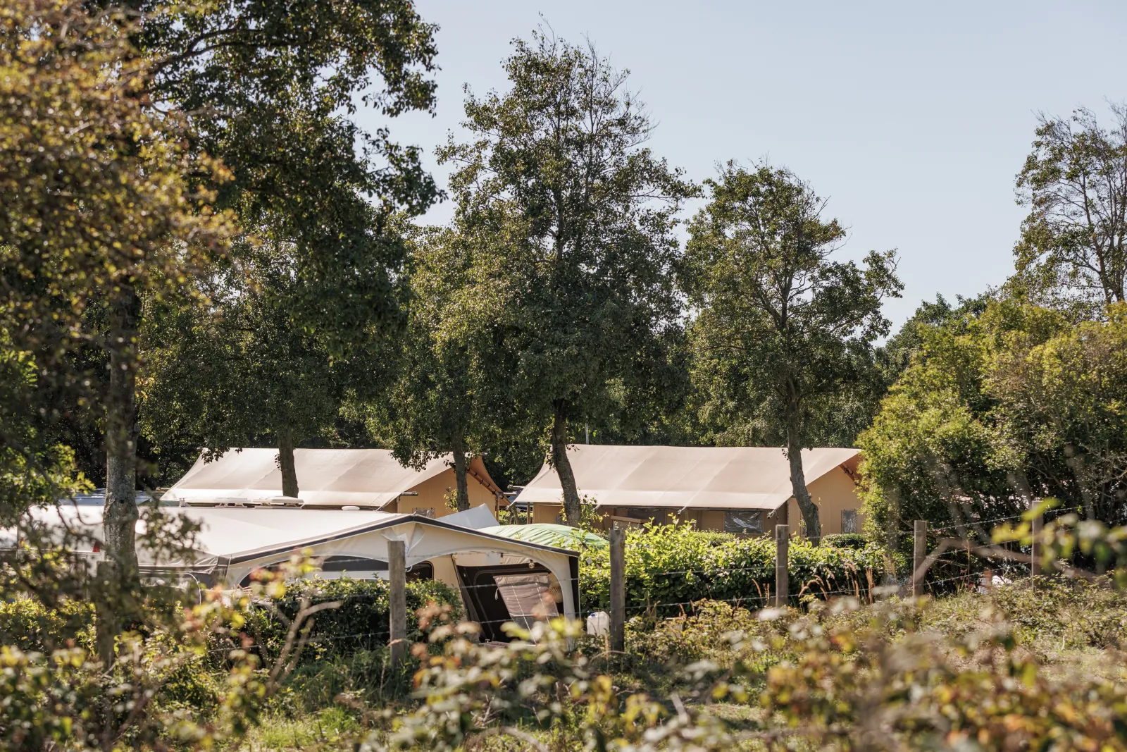 Camping De Zandput — foto 6