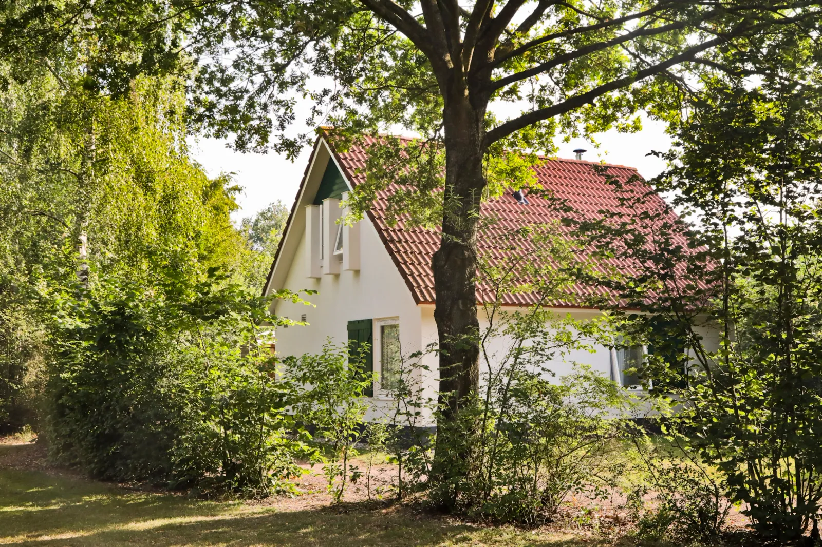 Bungalowpark Het Drentse Wold — foto 10