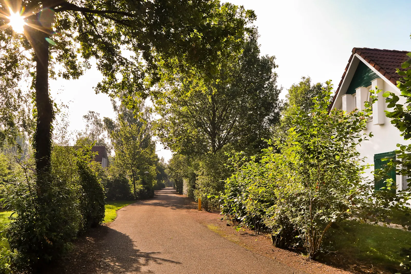 Bungalowpark Het Drentse Wold — foto 11