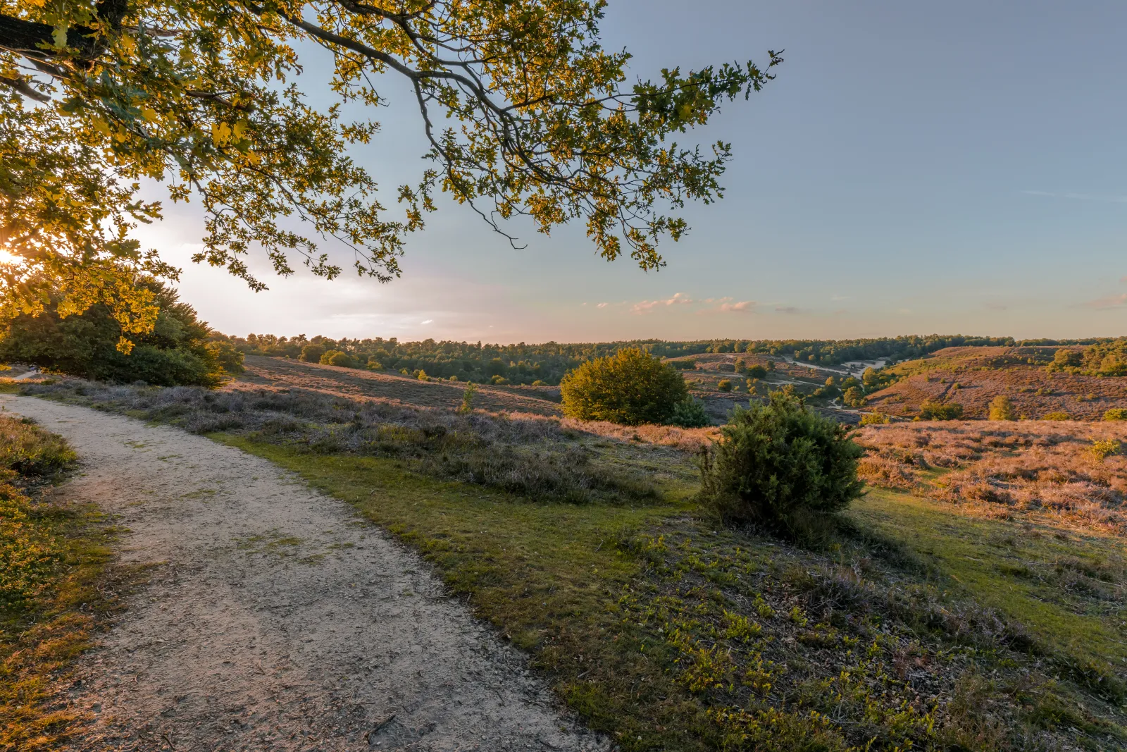 Cuber Veluwe — foto 15