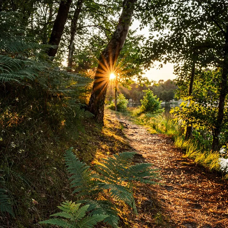 Nature trail wandeling