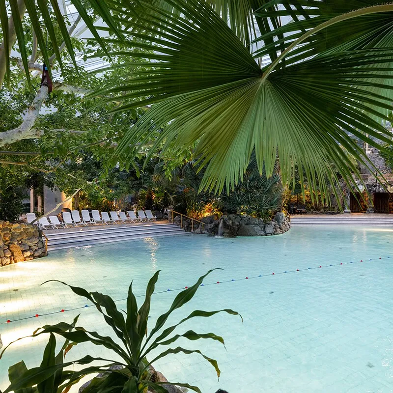Aqua Mundo