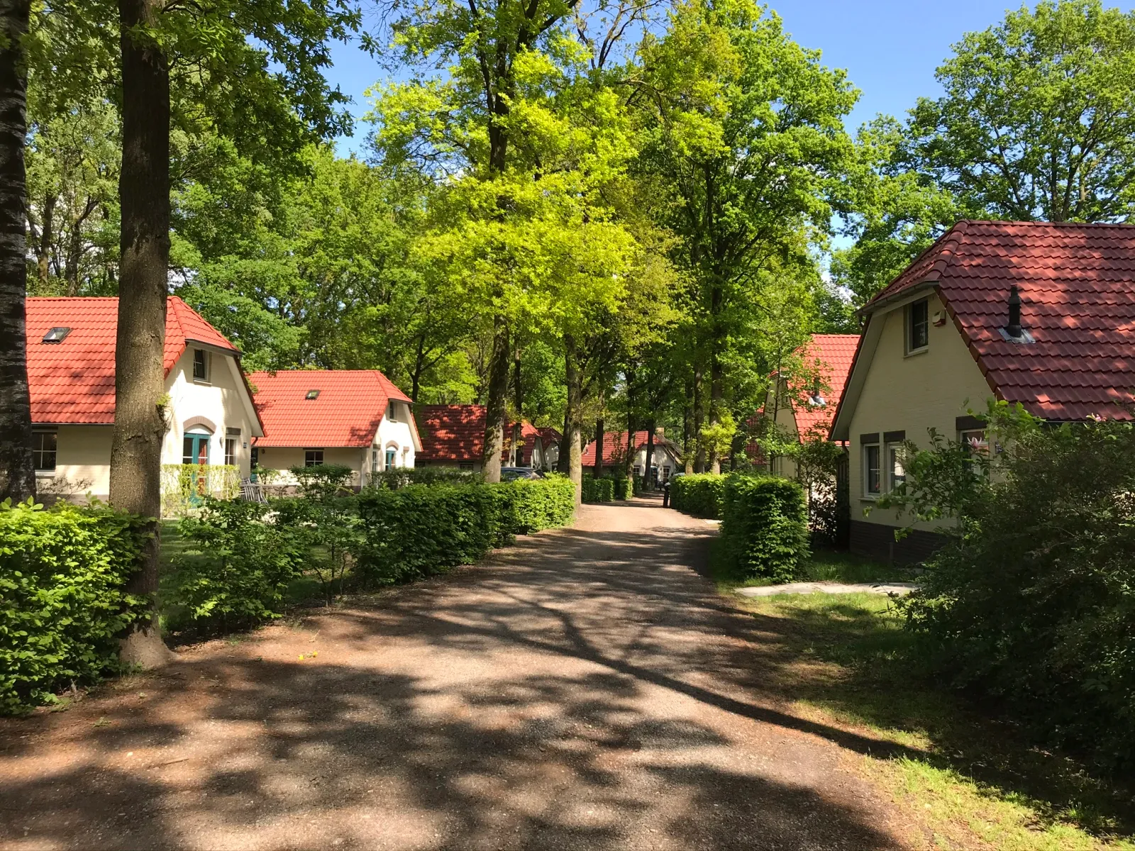 Recreatiepark De Tolplas — foto 11