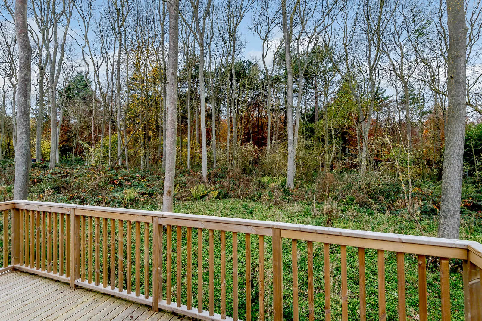 Landal Kenwick Woods