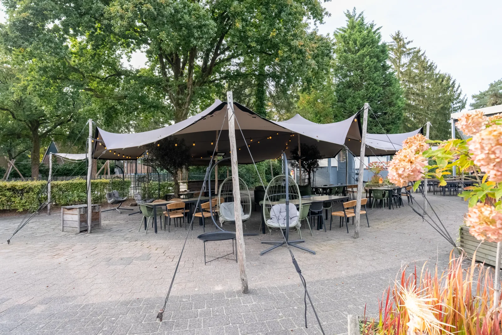 De Katjeskelder — foto 6