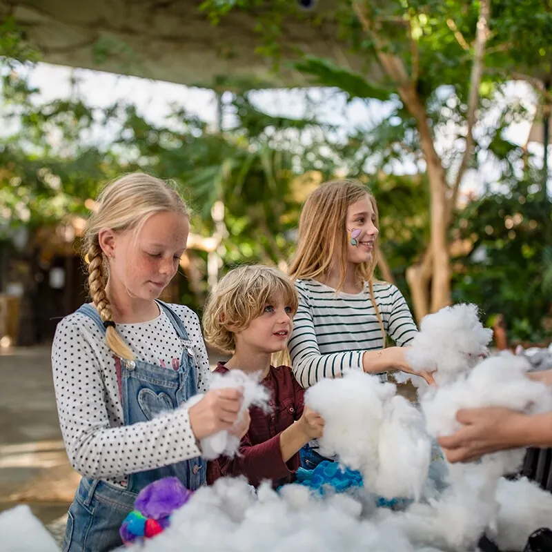 Kids Workshop: Maak je eigen knuffel