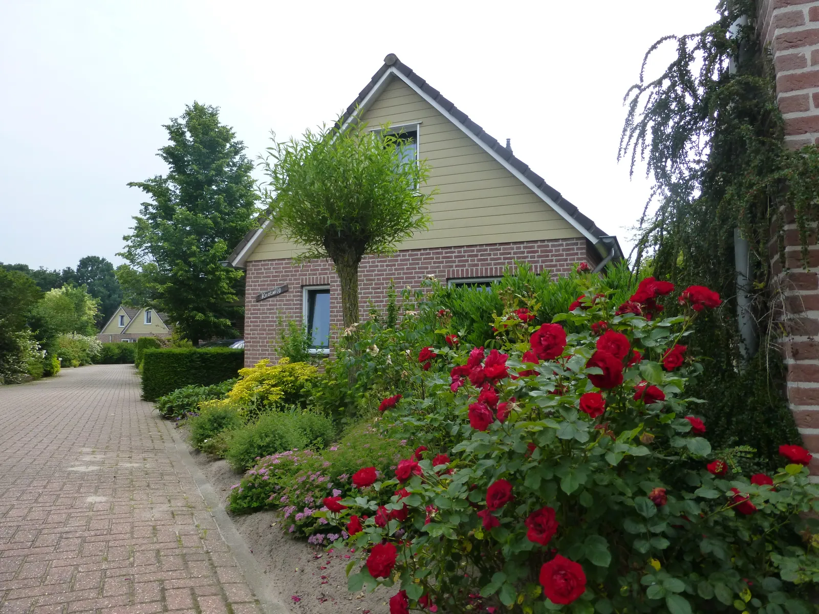 Bungalowpark De Riethorst — foto 7