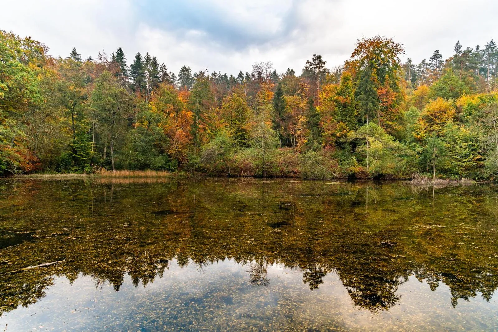 EuroParcs Woerthersee