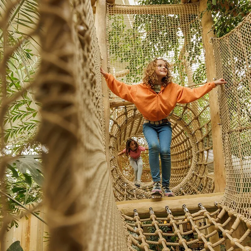 Jungle Dome
