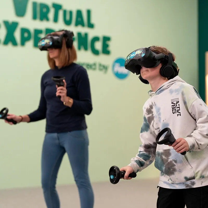 Virtual Reality Experience