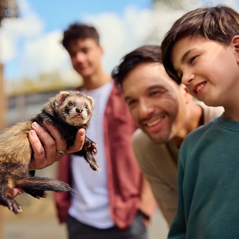 Achter de schermen van het dierenrijk