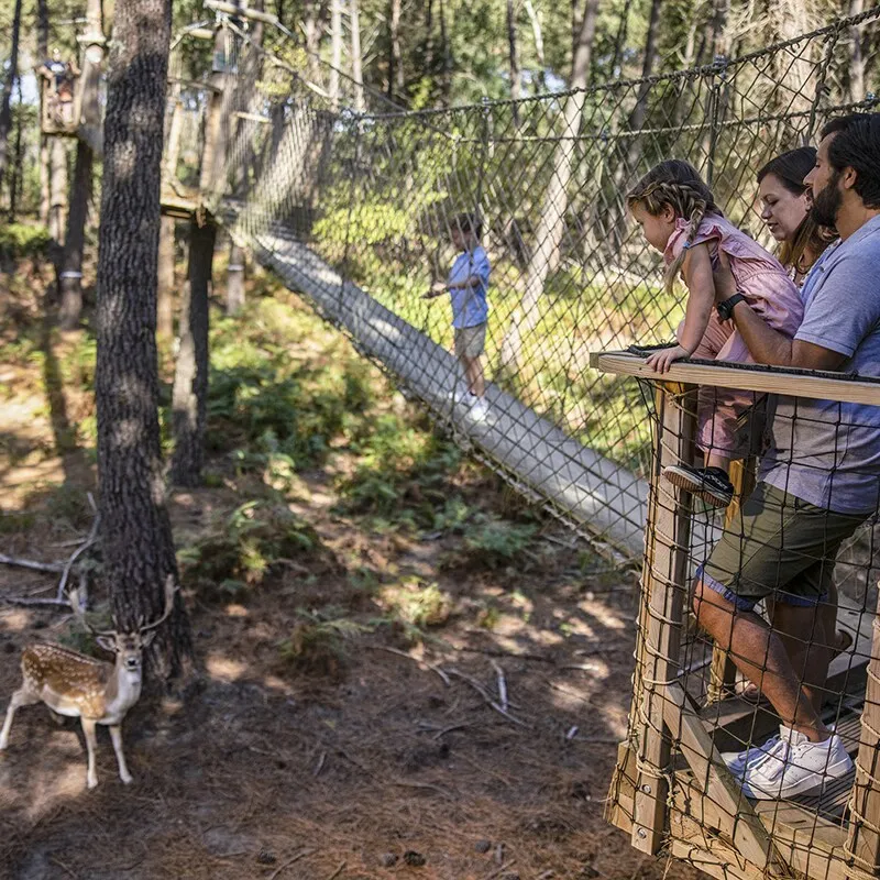 Dierenpark