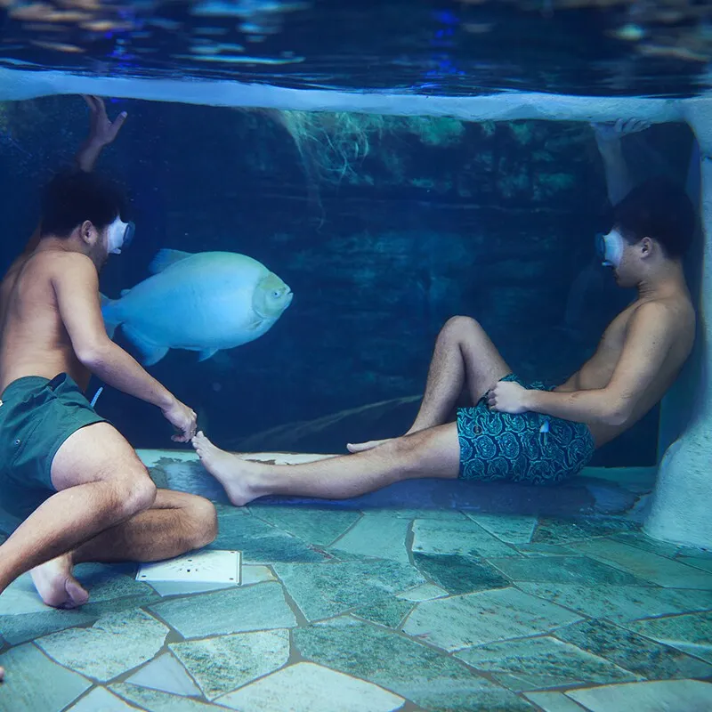 Cenote Pool
